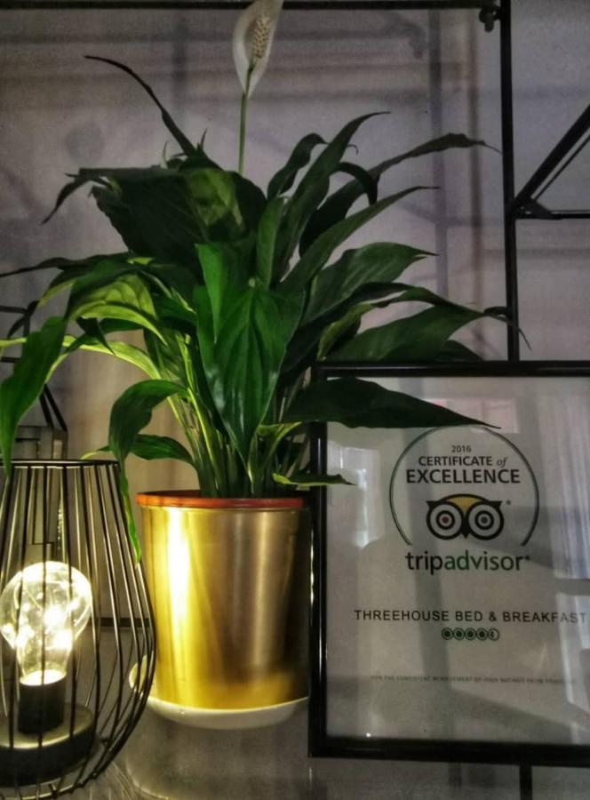 Treehouse Hostel كوشنج المظهر الخارجي الصورة